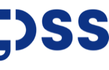 DSS -Digital and Software Solutions Ltd. logo