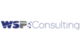WSP-Consulting GmbH logo